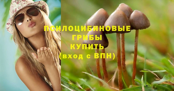 дживик Нея