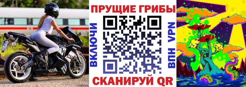 наркошоп  Елец  Галлюциногенные грибы Psilocybine cubensis 